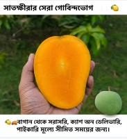 10 KG গোবিন্দভোগ আম (সাতক্ষীরার বাগান থেকে)